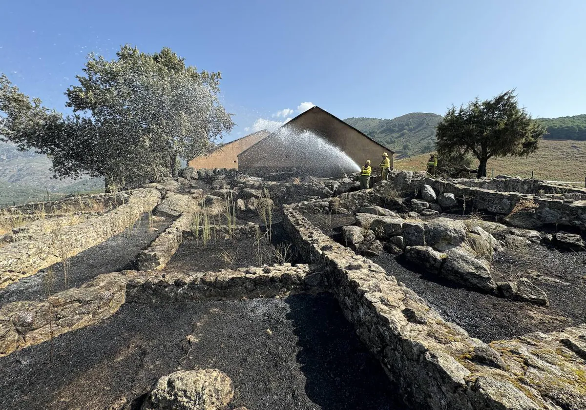 Efectivos del operativo antiincendios trabajando el pasado jueves en el castro de El Freillo, en El Raso