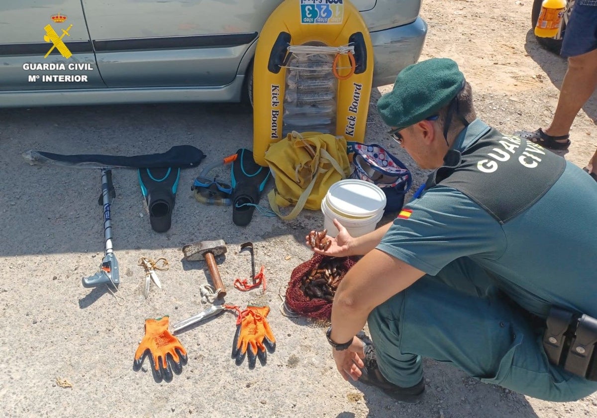 Imagen de un agente de la Guardia Civil con dátiles de mar pescados en Castellón