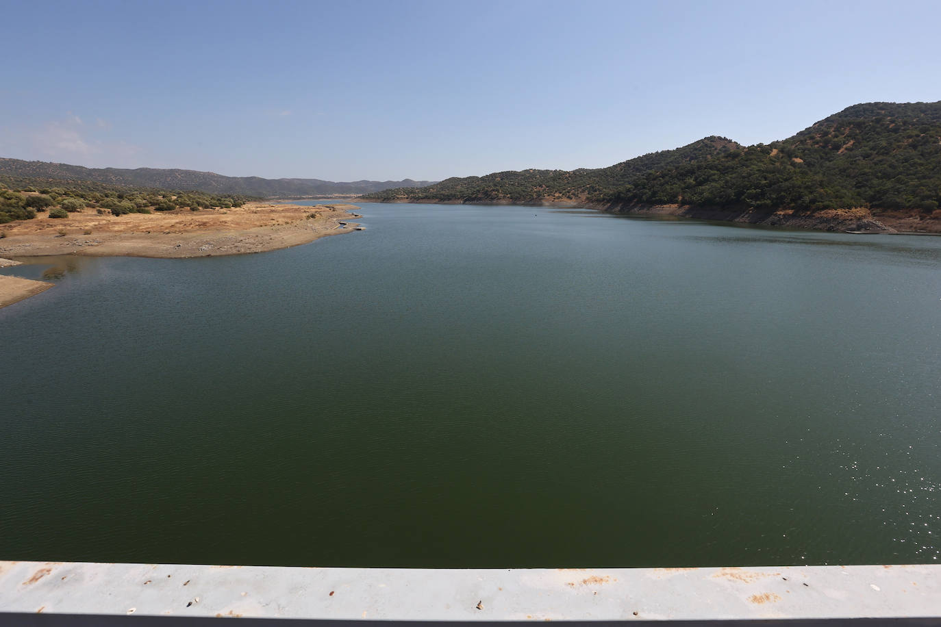 Los pantanos cordobeses ofrecen su mejor cara