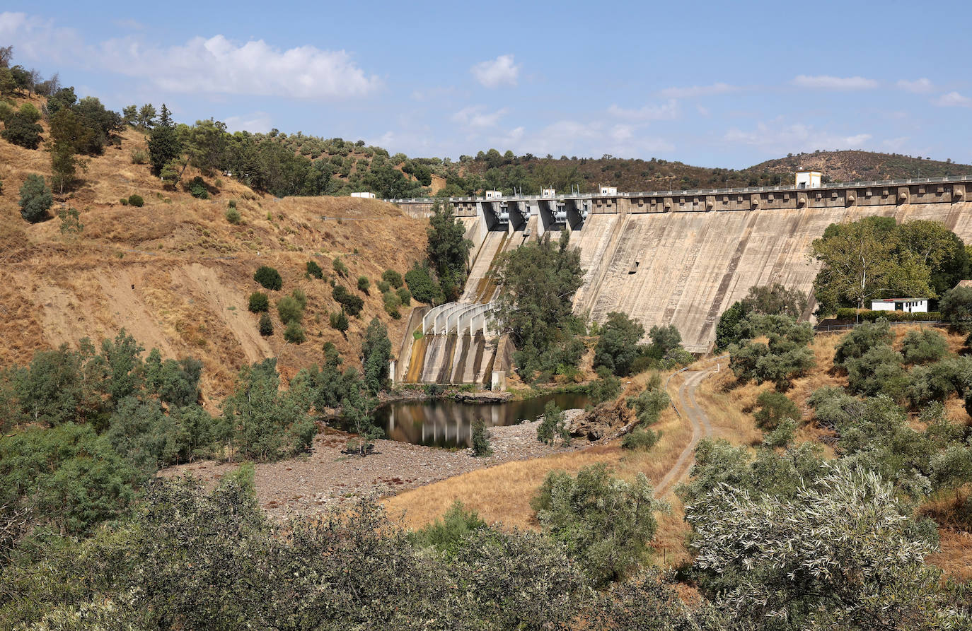 Los pantanos cordobeses ofrecen su mejor cara