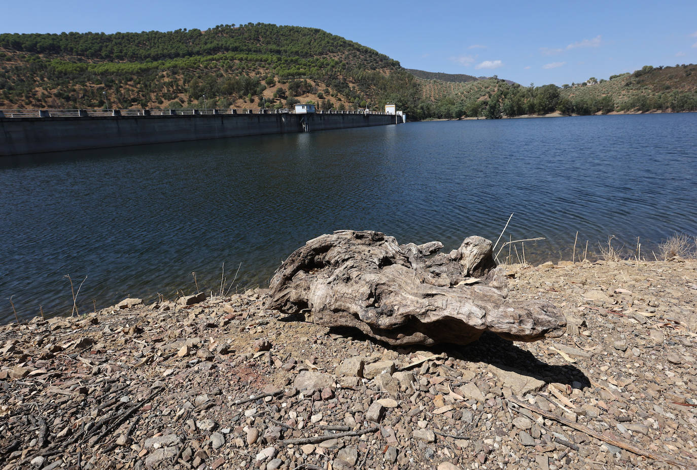 Los pantanos cordobeses ofrecen su mejor cara