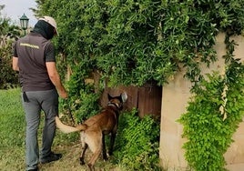 Unas fiestas ilegales en una finca rústica llevan hasta una red que vendía drogas en bares de Zamora