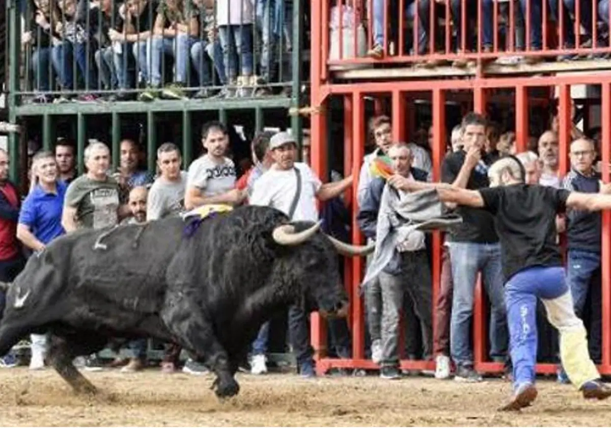 Imagen de archivo de un festejo taurino en la Comunidad Valenciana