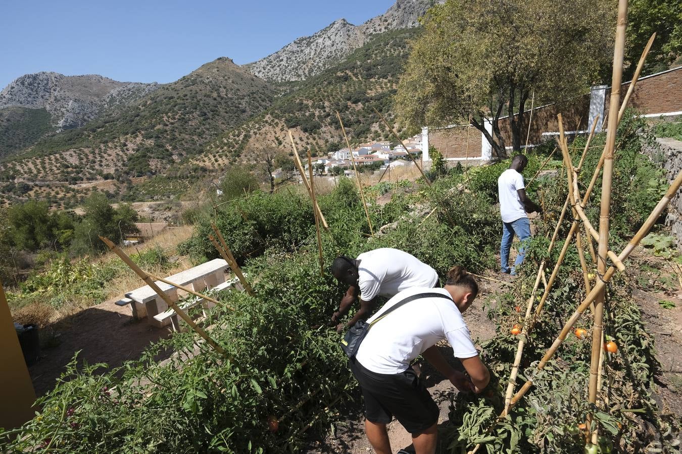 Centro de menores tutelados de la Junta de Andalucía en Cortes de la Frontera (Málaga)