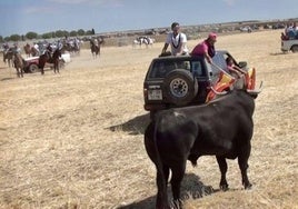 Muere el joven que resultó corneado este sábado en un encierro por el campo en El Casar (Guadalajara)