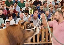 Subasta de ganado para todos