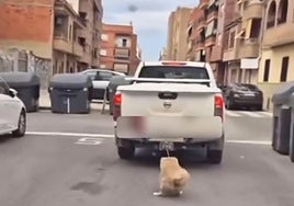 Descuido o maltrato animal: el inquietante vídeo de un perro atado a un coche en movimiento