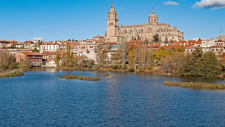 Este es el barrio de Salamanca más barato para alquilar un piso: precio medio de la vivienda