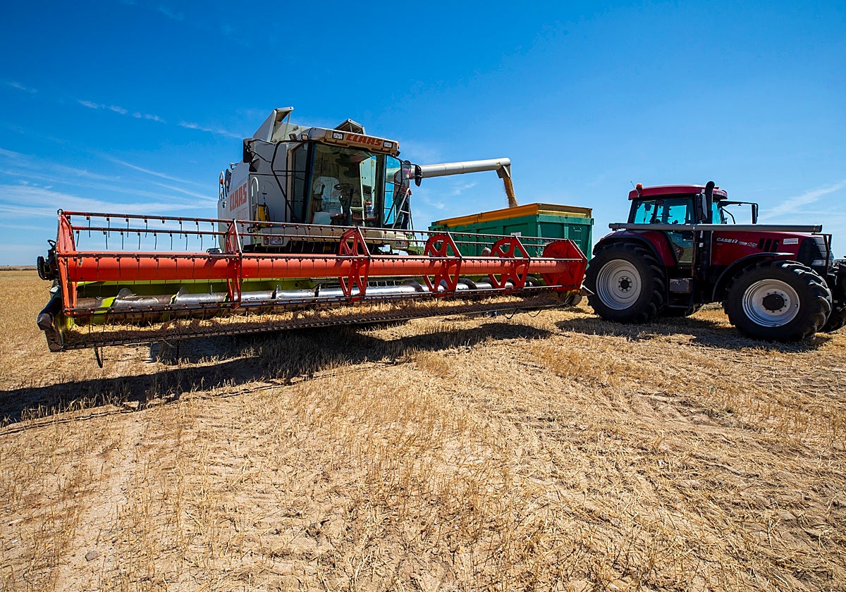 Cosechadora en una imagen de archivo