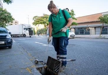 Una mujer de La Rambla, hospitalizada en la UCI por el virus del Nilo, primer caso de la provincia de Córdoba