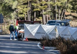 Prisión para el presunto autor del secuestro y asesinato de un hombre en un pueblo de Granada