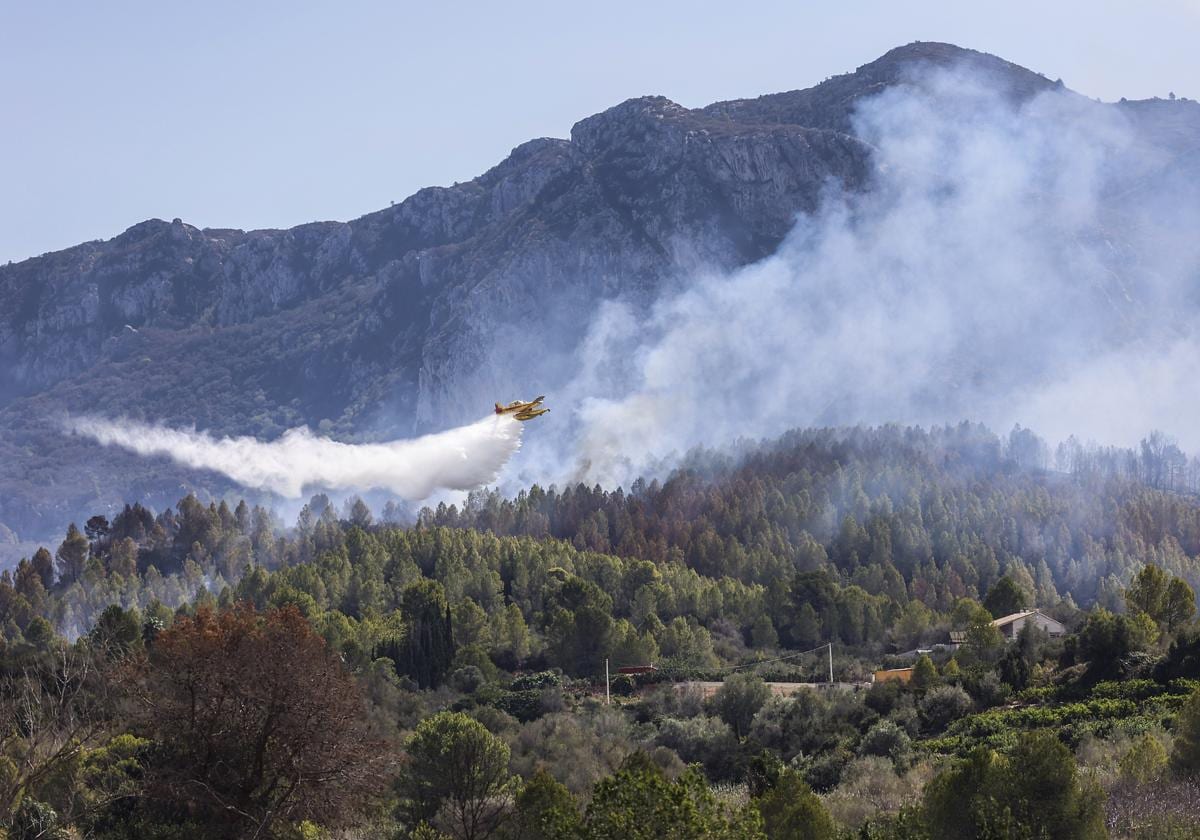 Un incendio de vegetación en Benifaió (Valencia) obliga a interrumpir