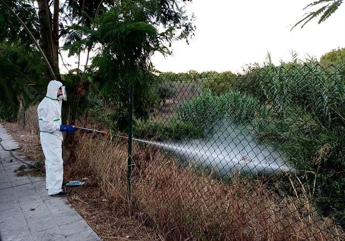 Fumigación para prevenir la propagación de mosquitos con el virus del Nilo