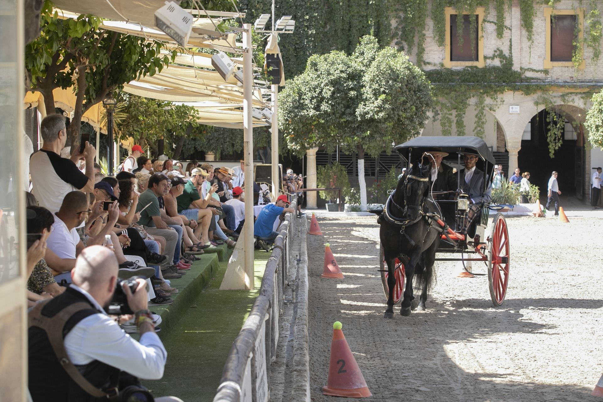 Fotos: el concurso de atalajes de tradición en Córdoba