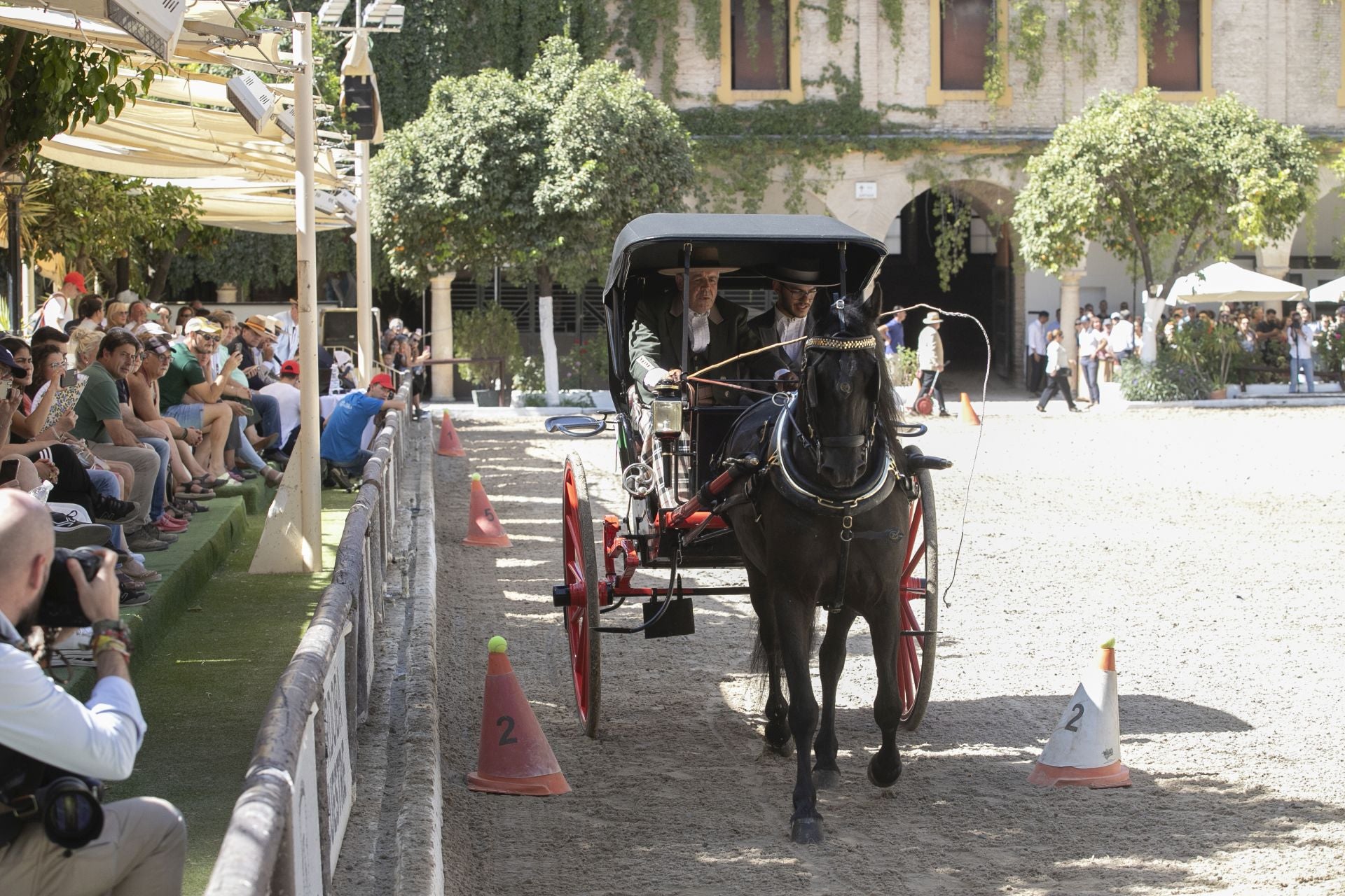 Fotos: el concurso de atalajes de tradición en Córdoba