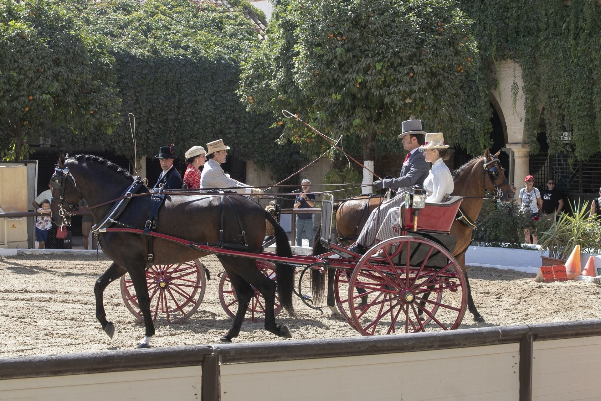 Fotos: el concurso de atalajes de tradición en Córdoba