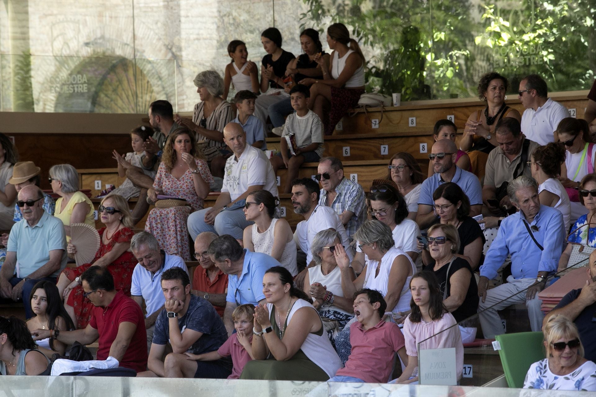 Fotos: el concurso de atalajes de tradición en Córdoba