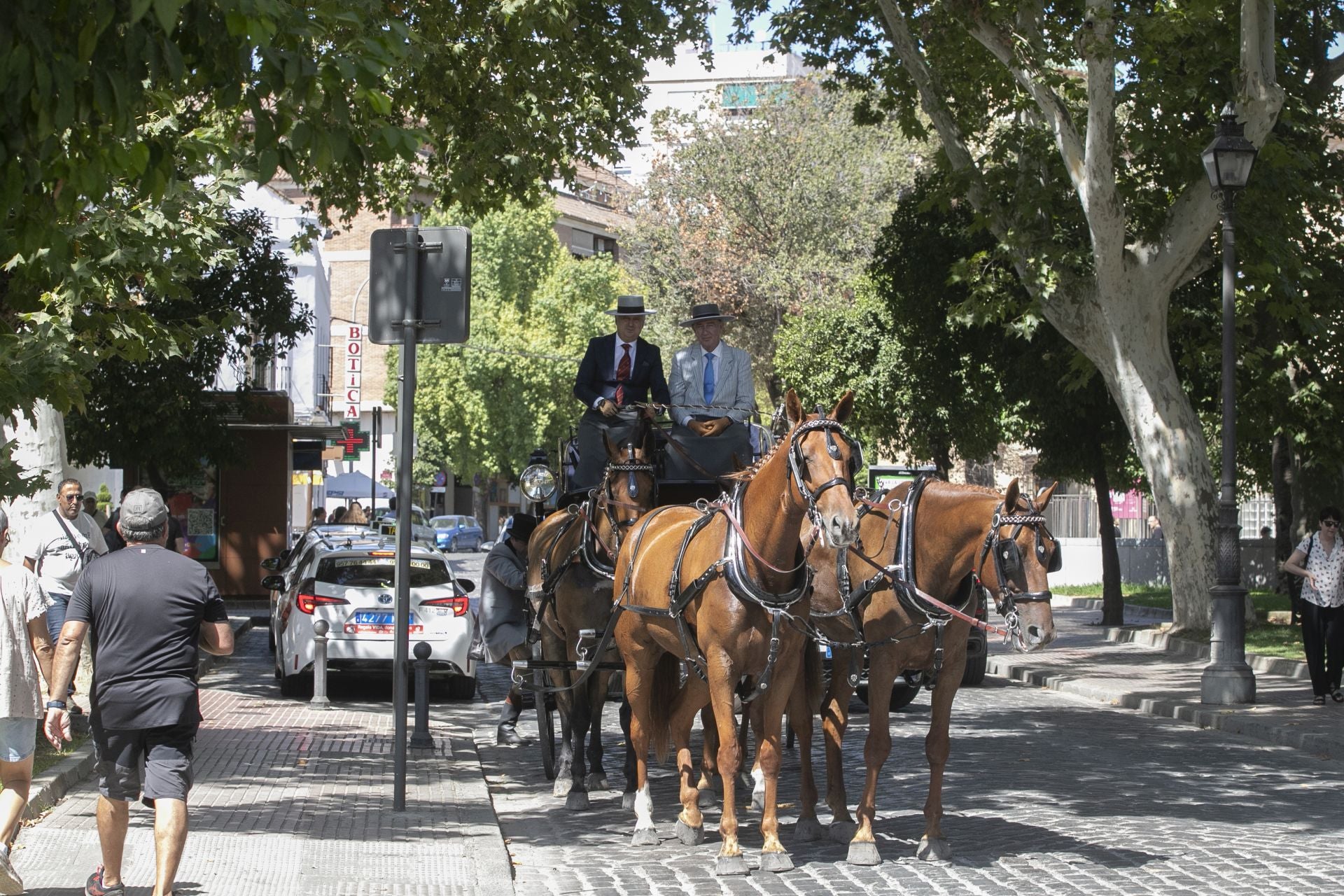 Fotos: el concurso de atalajes de tradición en Córdoba