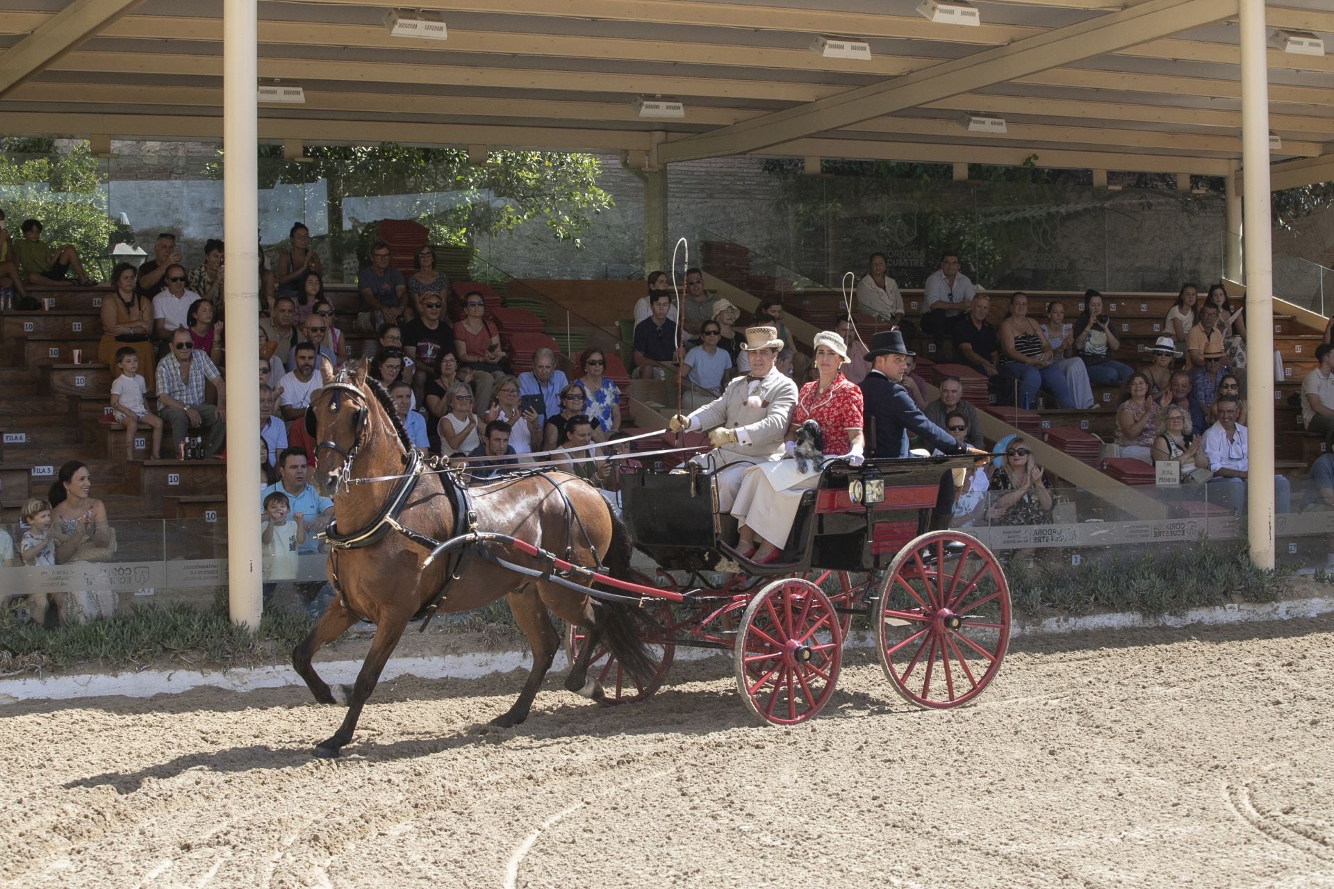 Fotos: el concurso de atalajes de tradición en Córdoba