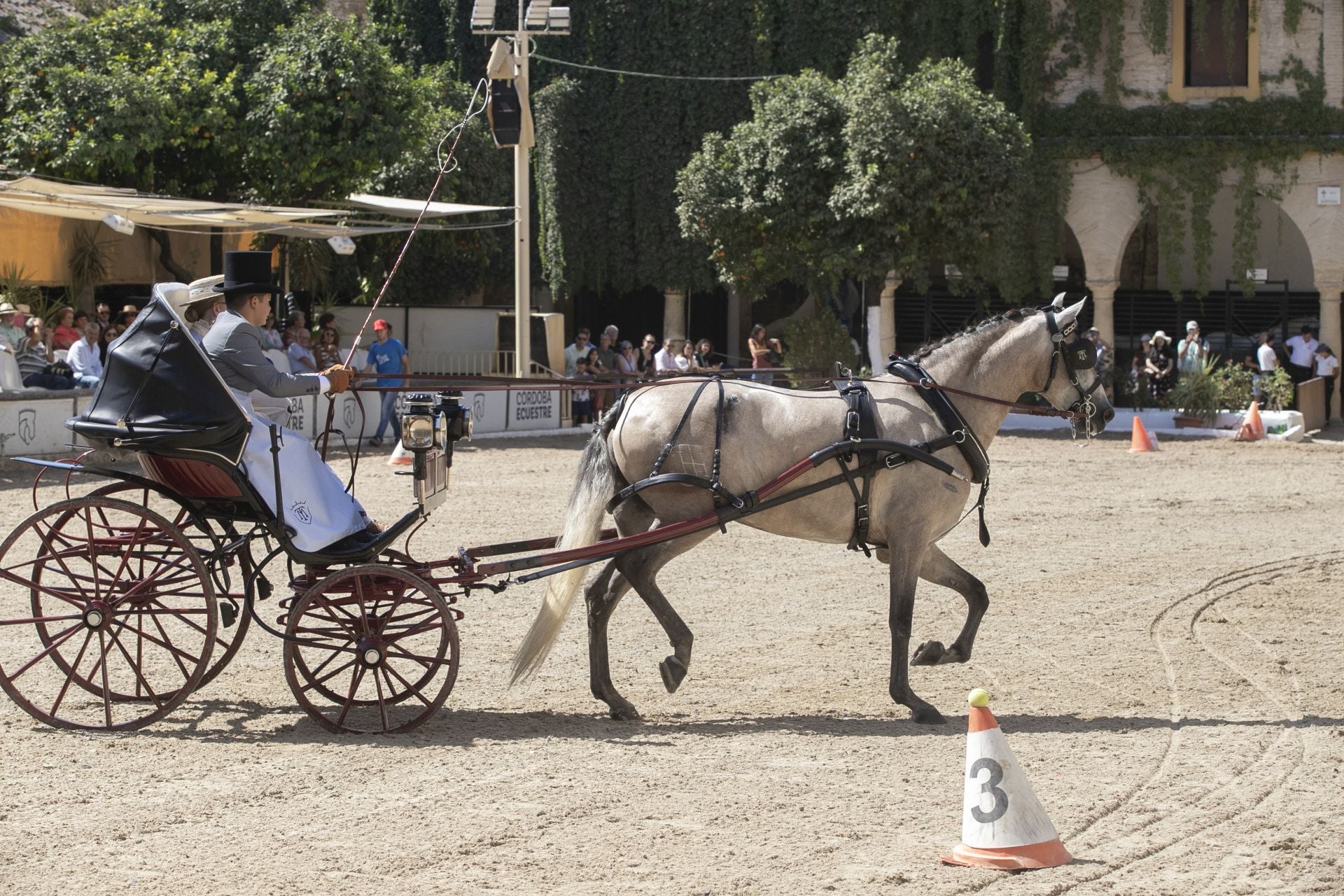 Fotos: el concurso de atalajes de tradición en Córdoba