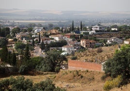 Encuentran muerto a un ciclista en Alcolea