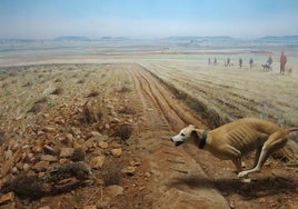 Los Yébenes se queda sin el Museo de la Caza y de la Naturaleza, que se va a Ciudad Real