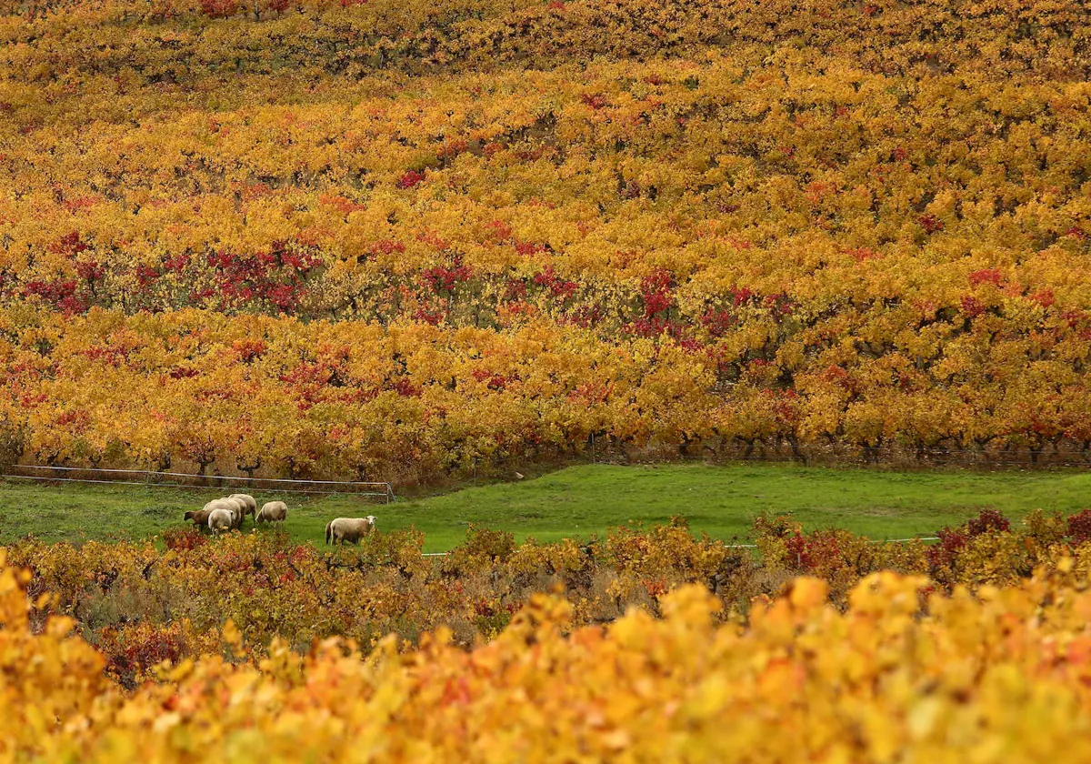 Otoño