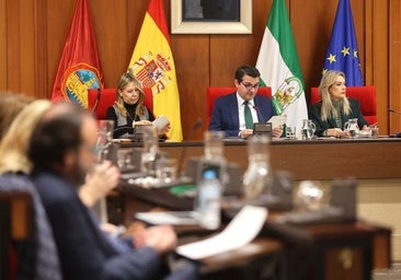 El presupuesto del Ayuntamiento tendrá 38 millones de euros más en inversiones