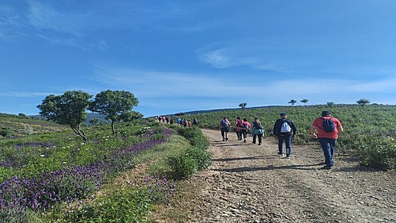El 5 de octubre comienza la nueva temporada de los 'Paseos naturales' con 34 rutas para conocer la provincia de Toledo