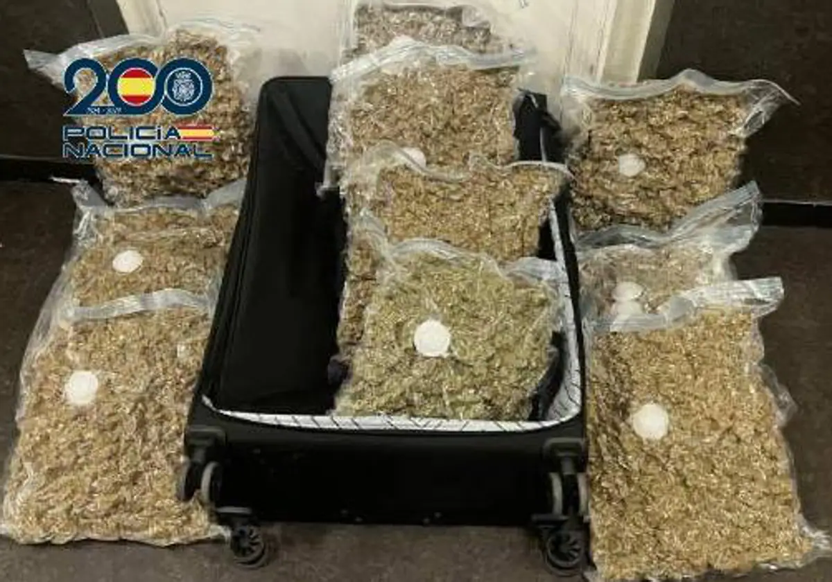 Varias bolsas de marihuana incautadas