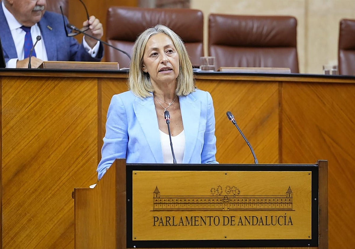La consejera de Salud, Rocío Hernández, en el Parlamento
