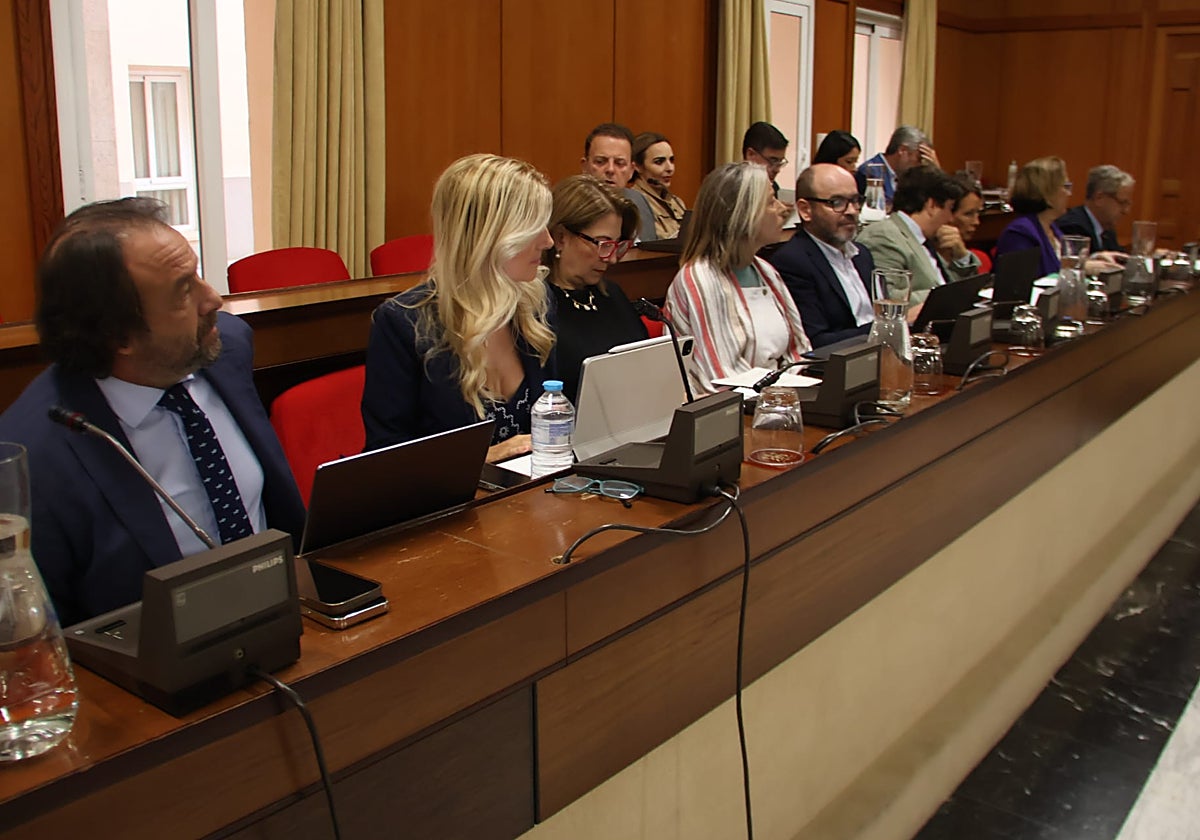 Bancada del PP en la sesion plenaria de este jueves en el Ayuntamiento de Córdoba