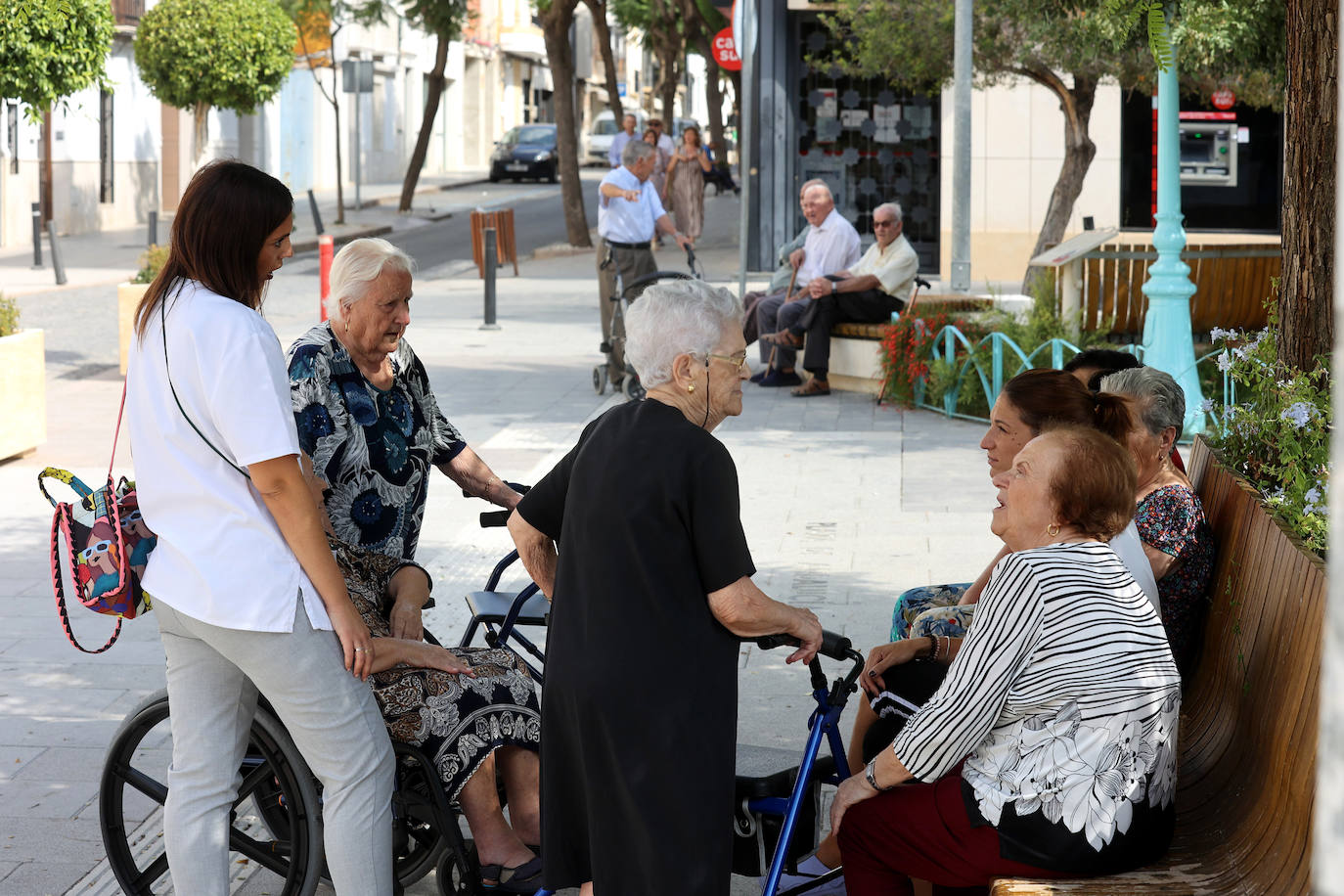 Fotos: La Rambla y Montalbán a la sombra del virus del Nilo