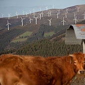 La patronal eólica advierte que las parálisis del TSXG dejan «catatónico» al sector