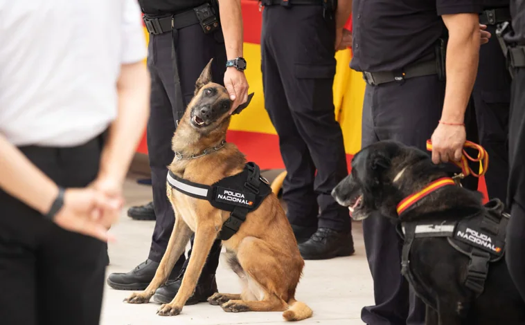 Imagen principal - Visita del ministro de Interior a la nueva sede de guías caninos. Uno de ellos, Pedro, posa con 'Zar'.