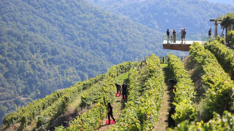 Viticultores bajo la bodega Regina Viarum, donde se realizan visitas y cata de los vinos que producen