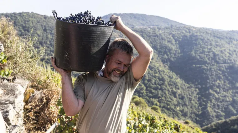 Diego, el más joven del grupo, cargando las uvas colina arriba