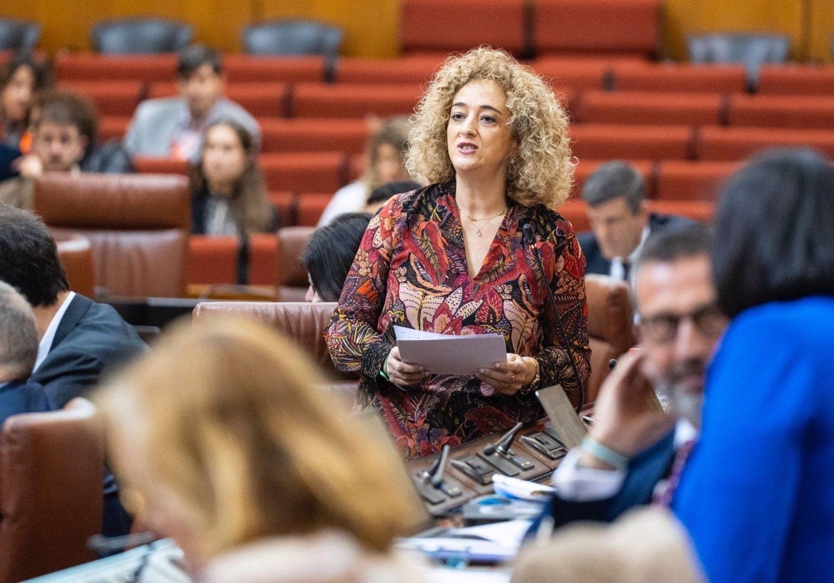 La parlamentaria andaluza por Granada del PP Rosa Fuentes