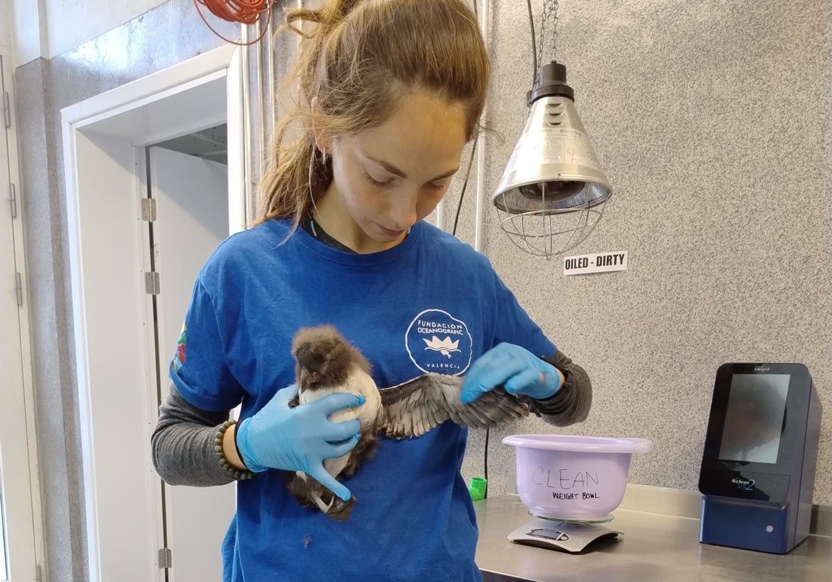 Emma García, veterinaria de la Fundación Oceanogràfic