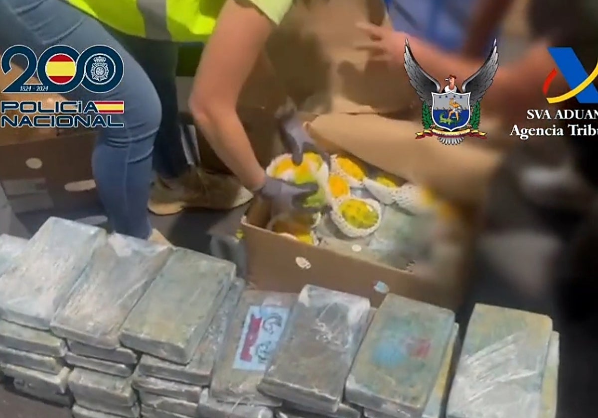 La droga incautada junto a la fruta procedente de Ecuador