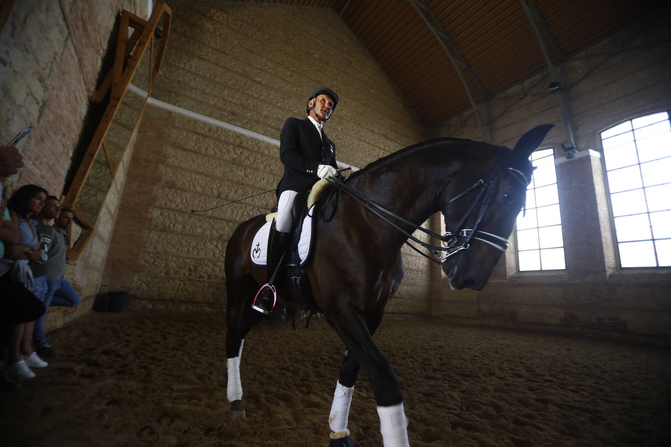 Fotos: el Concurso Morfológico de Pura Raza, en Caballerizas Reales