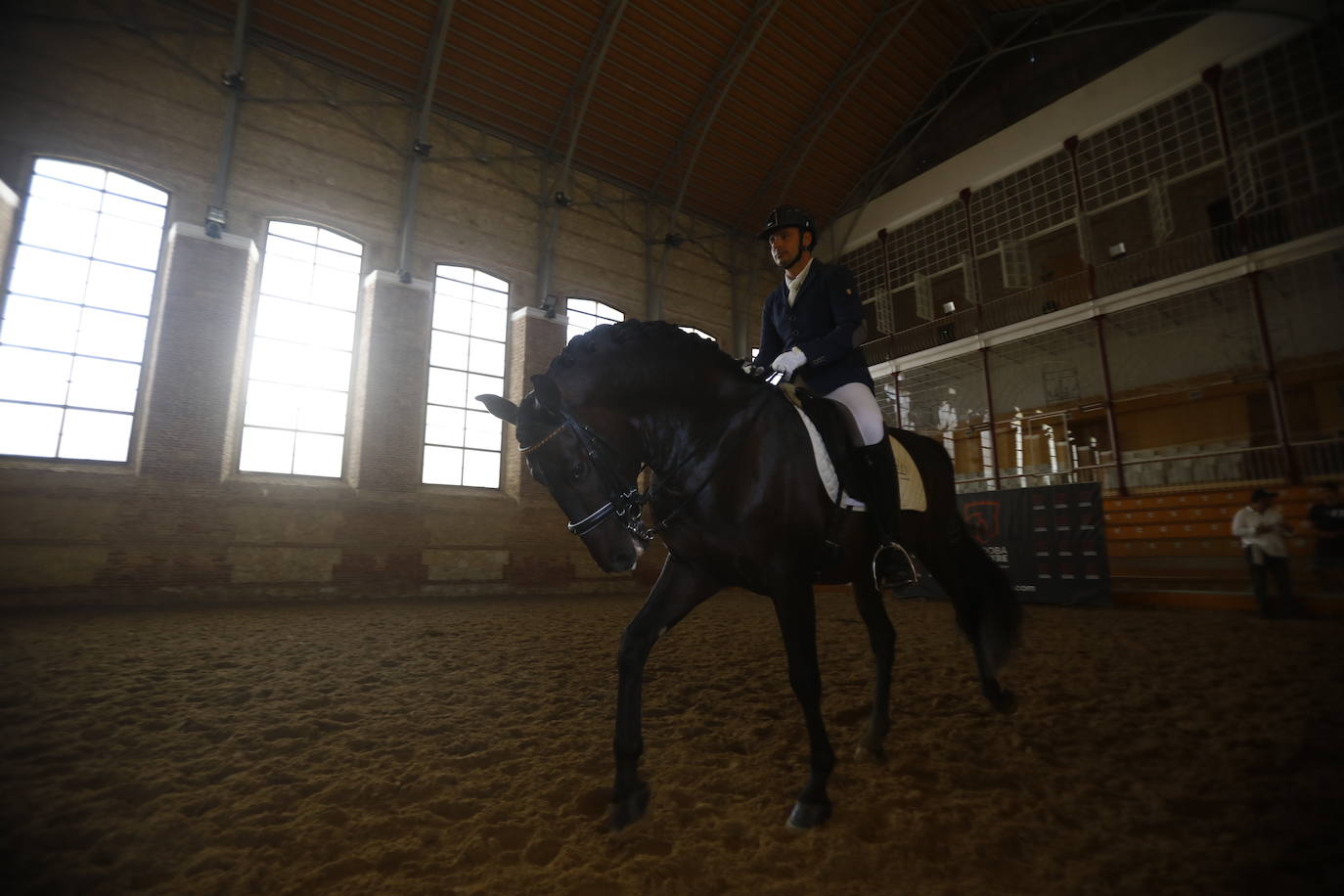 Fotos: el Concurso Morfológico de Pura Raza, en Caballerizas Reales