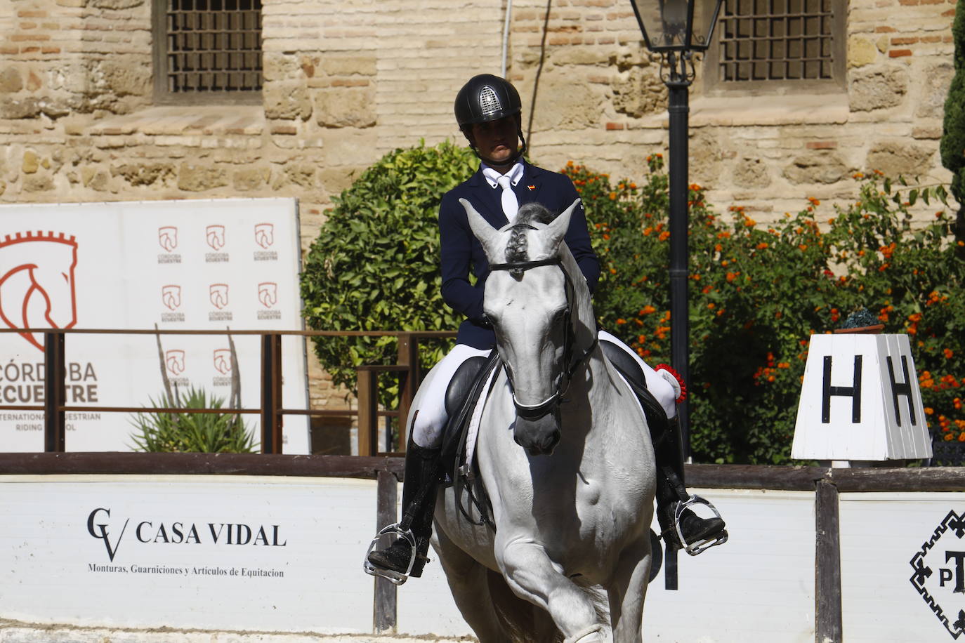 Fotos: el Concurso Morfológico de Pura Raza, en Caballerizas Reales