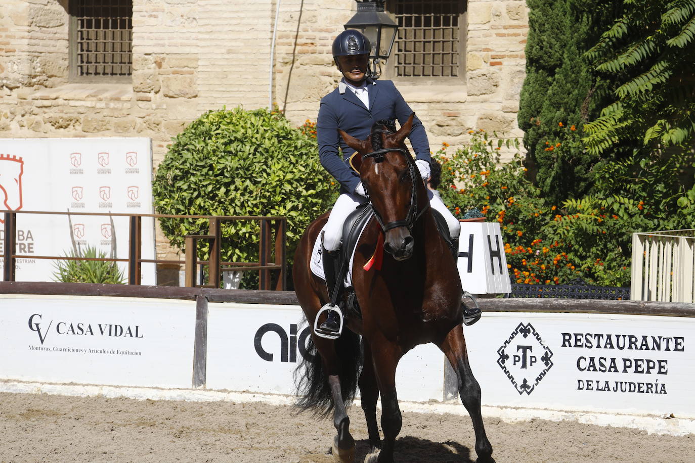 Fotos: el Concurso Morfológico de Pura Raza, en Caballerizas Reales