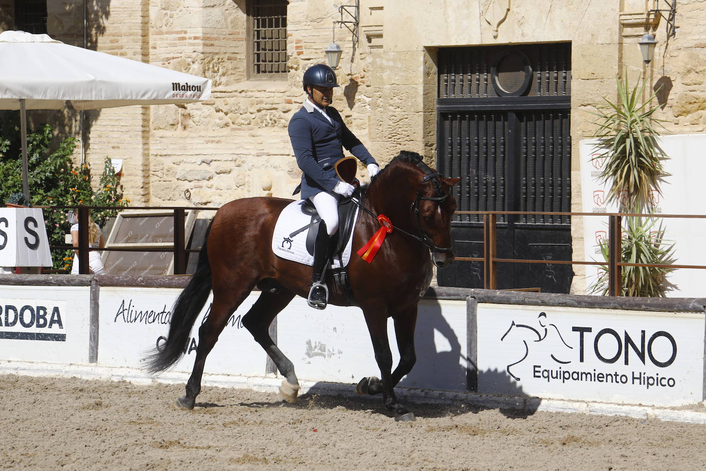 Fotos: el Concurso Morfológico de Pura Raza, en Caballerizas Reales