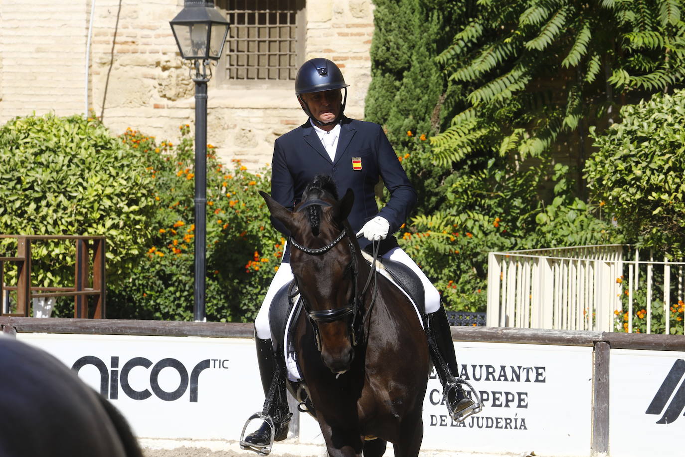 Fotos: el Concurso Morfológico de Pura Raza, en Caballerizas Reales