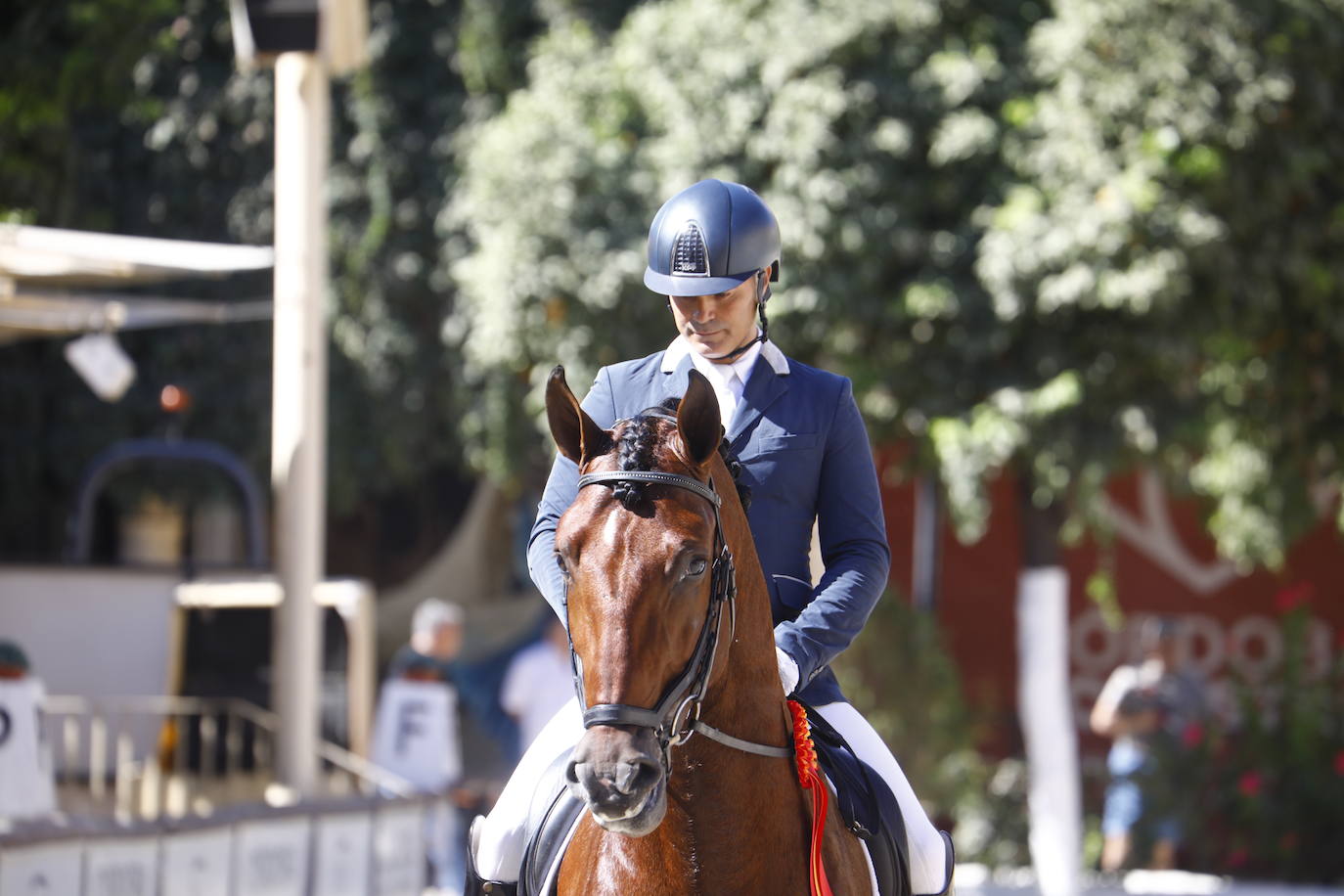 Fotos: el Concurso Morfológico de Pura Raza, en Caballerizas Reales