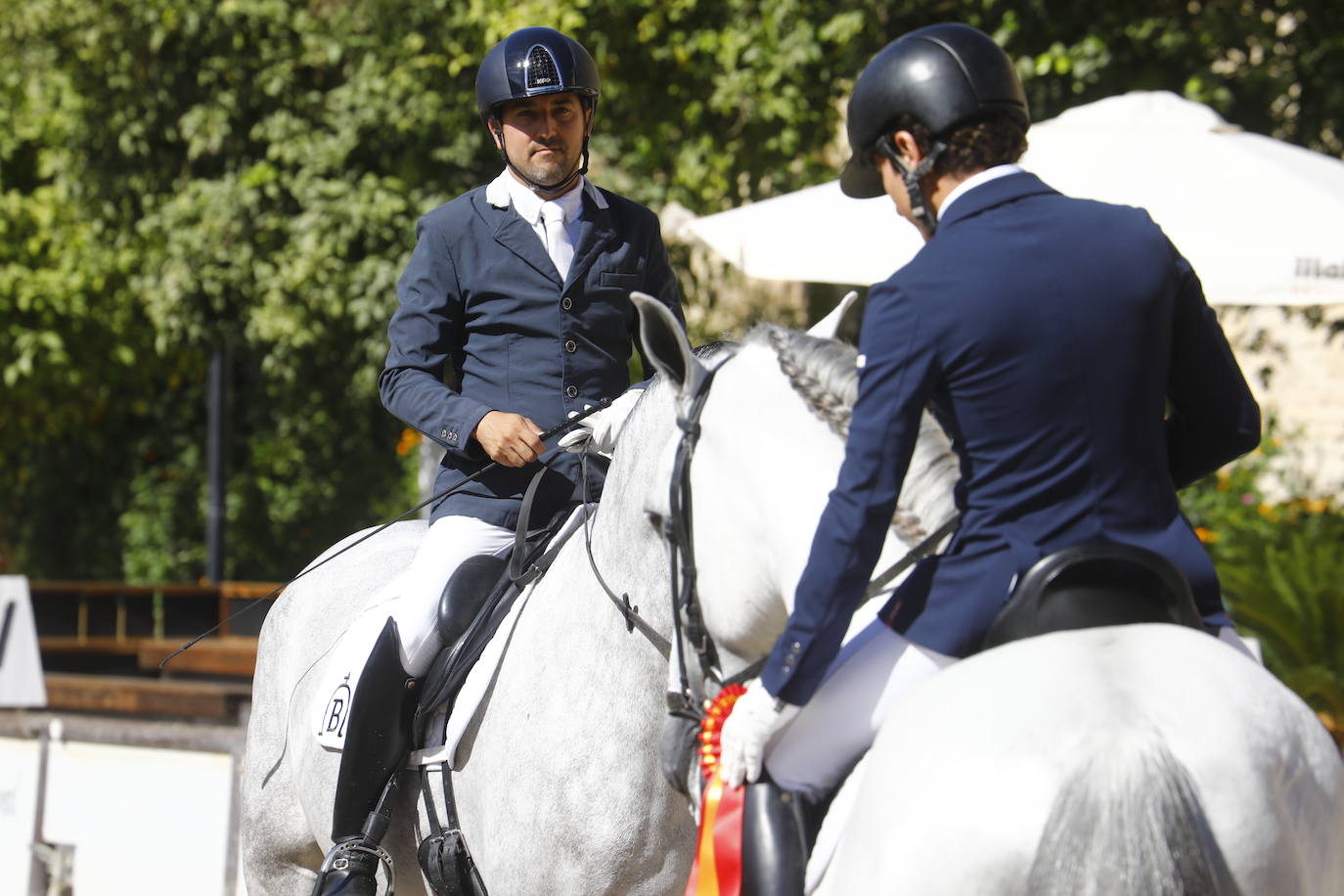 Fotos: el Concurso Morfológico de Pura Raza, en Caballerizas Reales