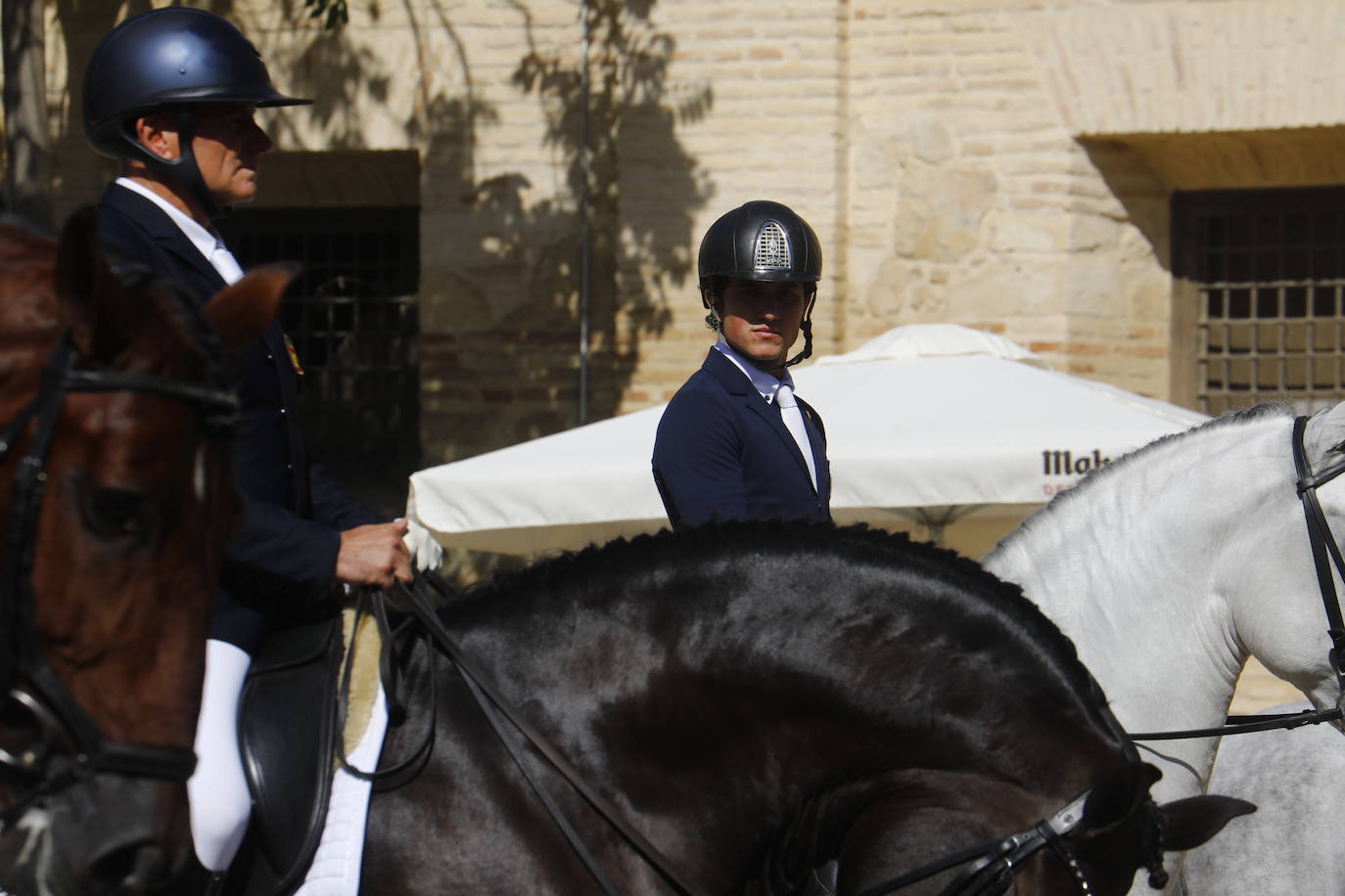 Fotos: el Concurso Morfológico de Pura Raza, en Caballerizas Reales