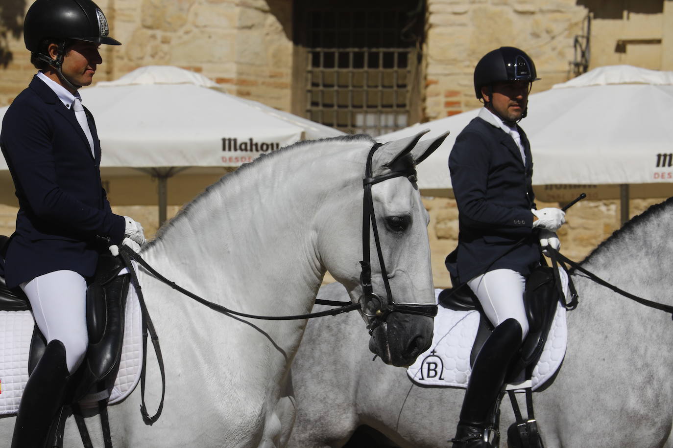 Fotos: el Concurso Morfológico de Pura Raza, en Caballerizas Reales